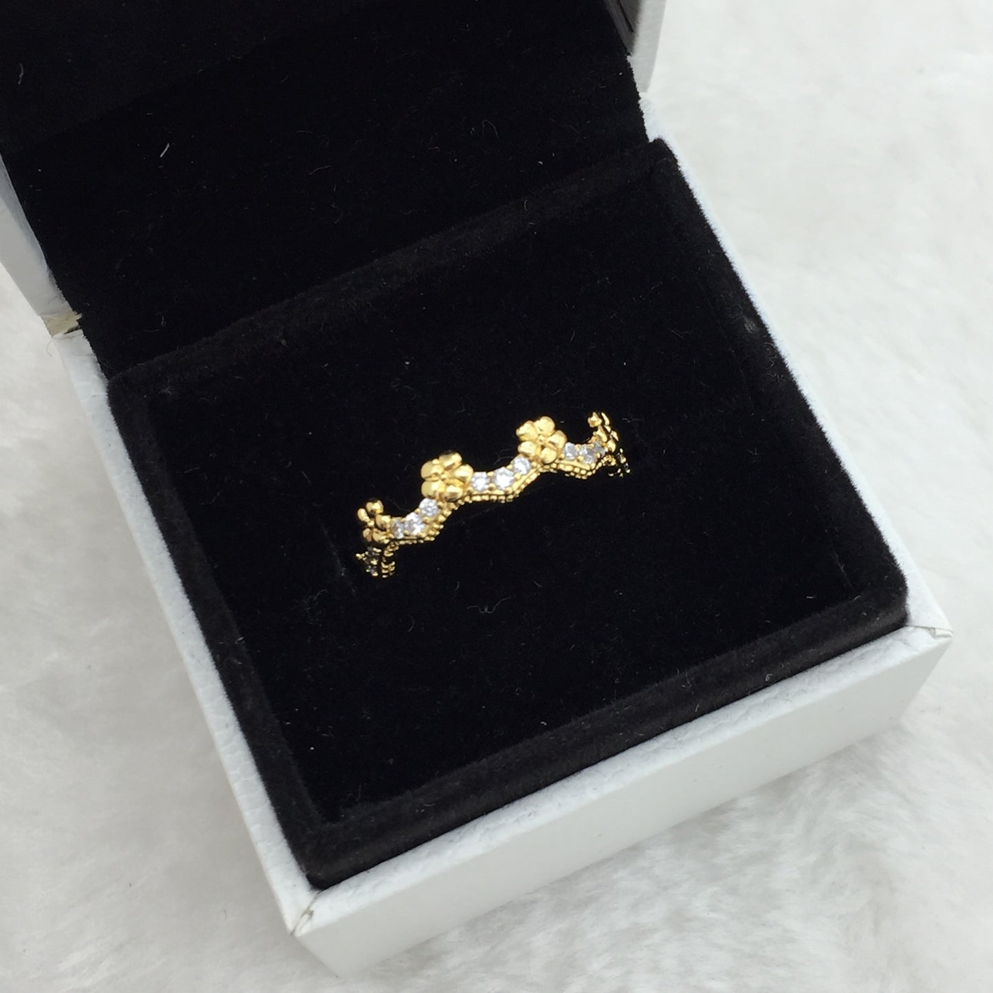 167924CZ