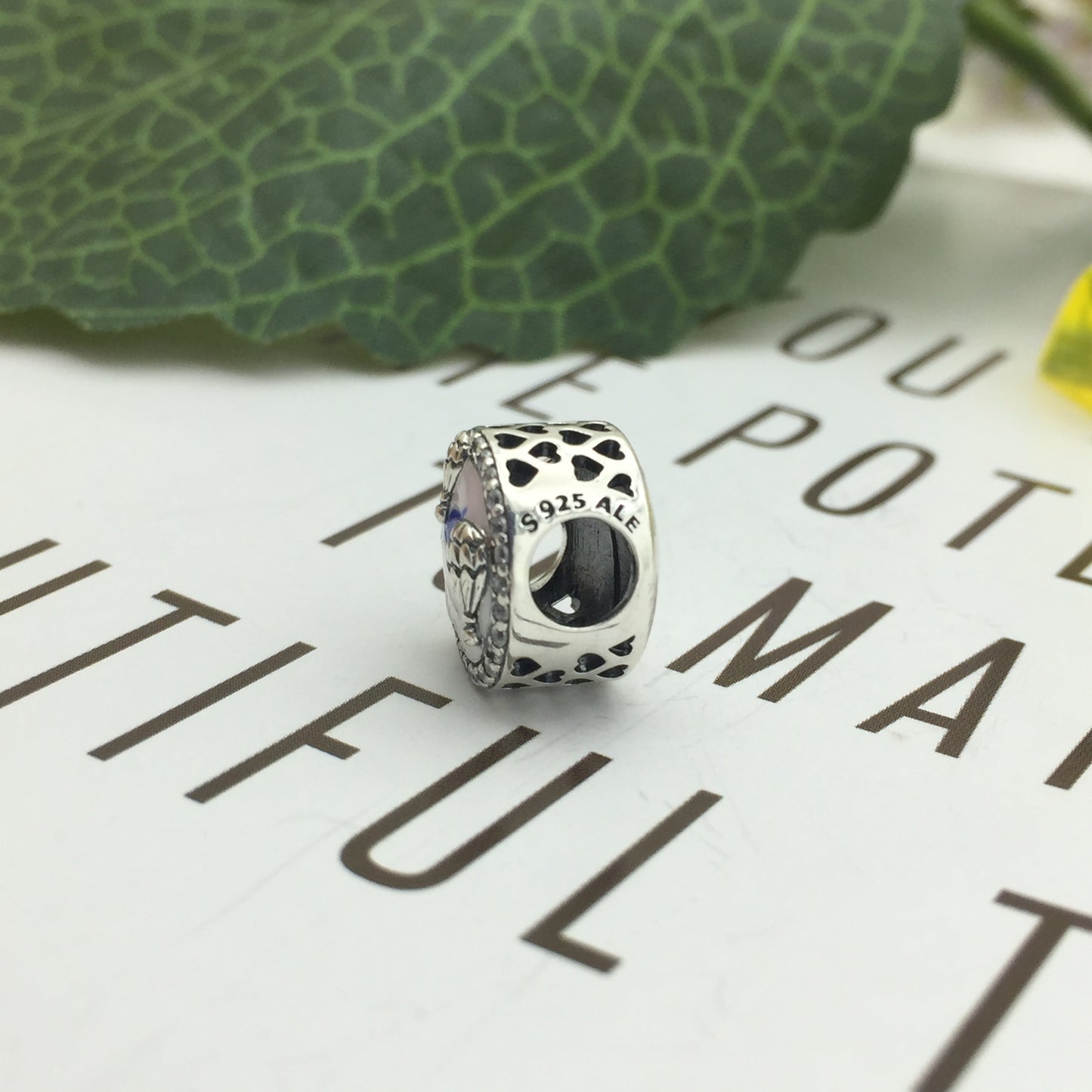 798061CZ