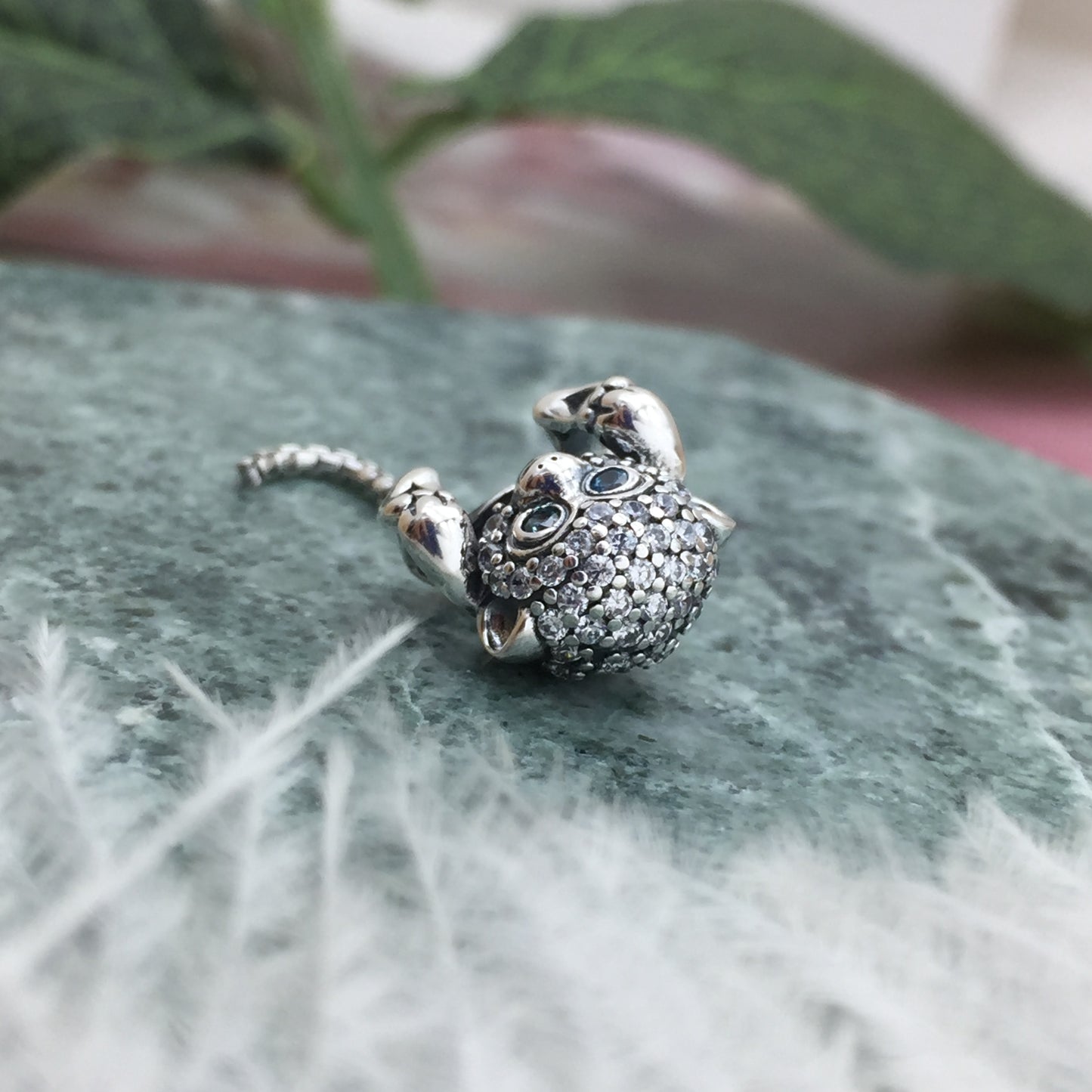 798054CZ