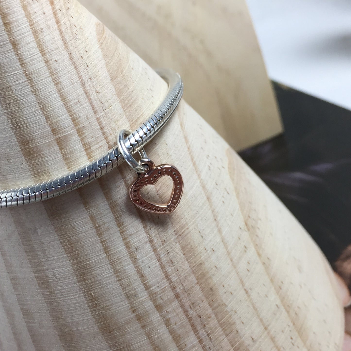 781304CZ