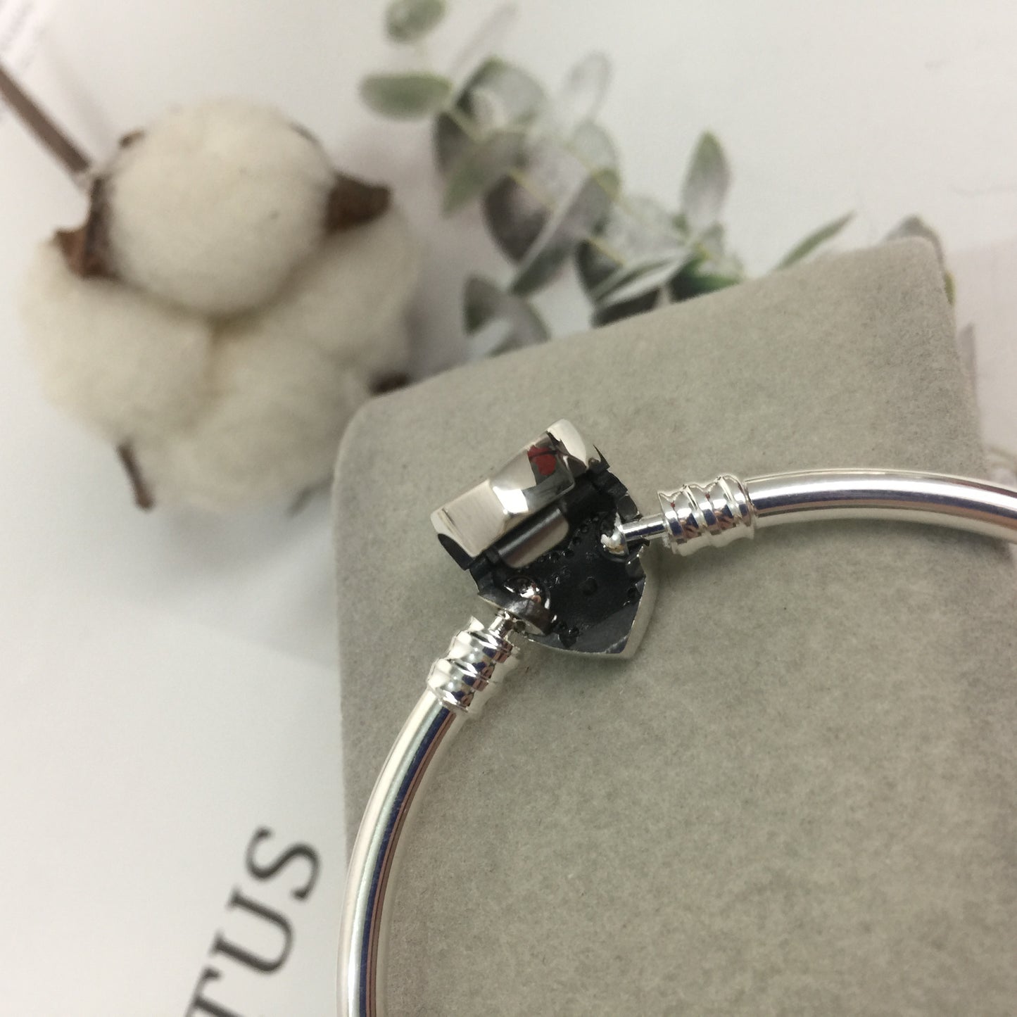 590729CZ