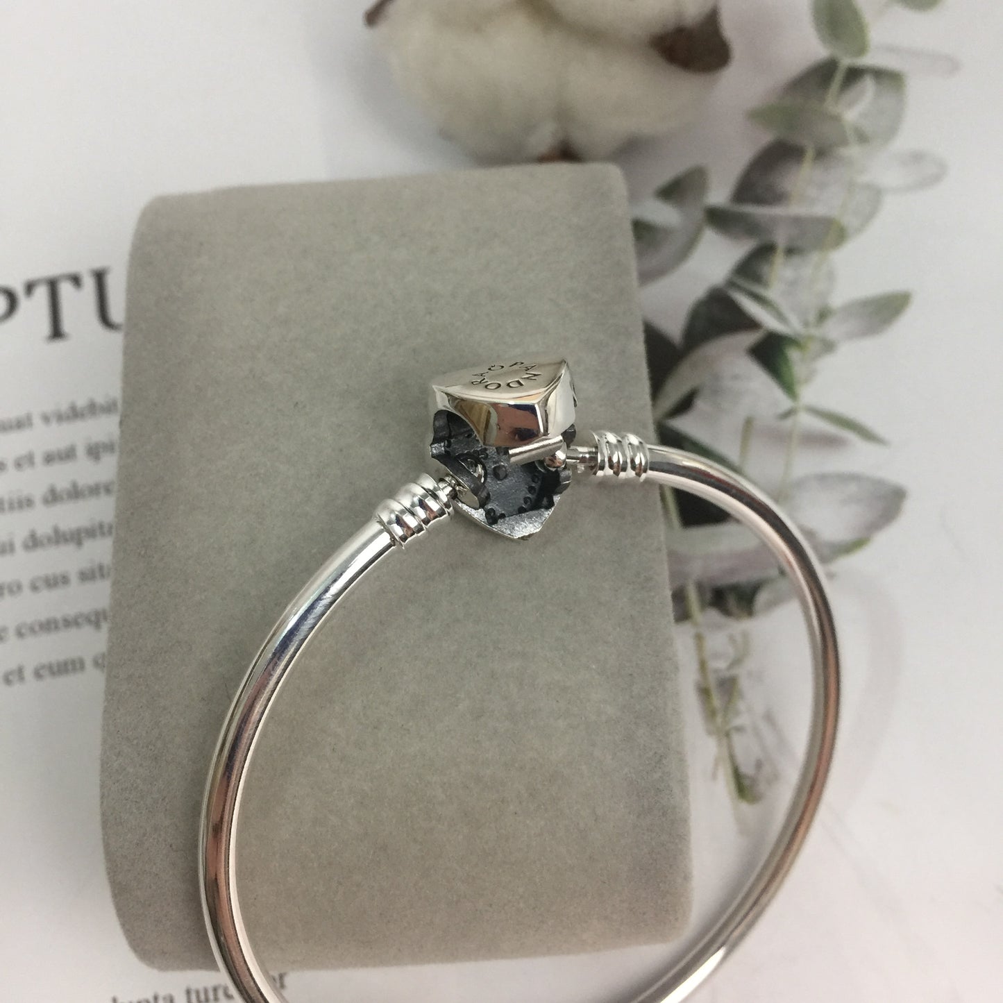 590729CZ