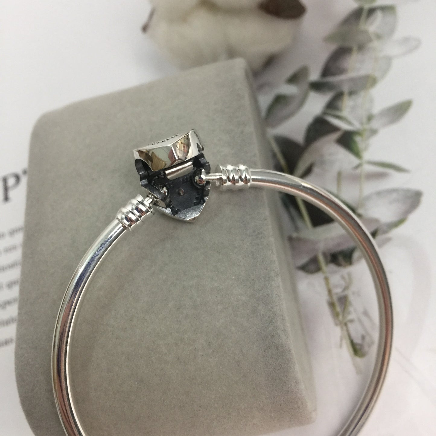 590729CZ