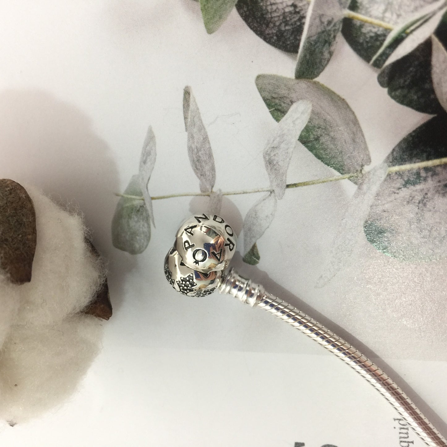 590749CZ