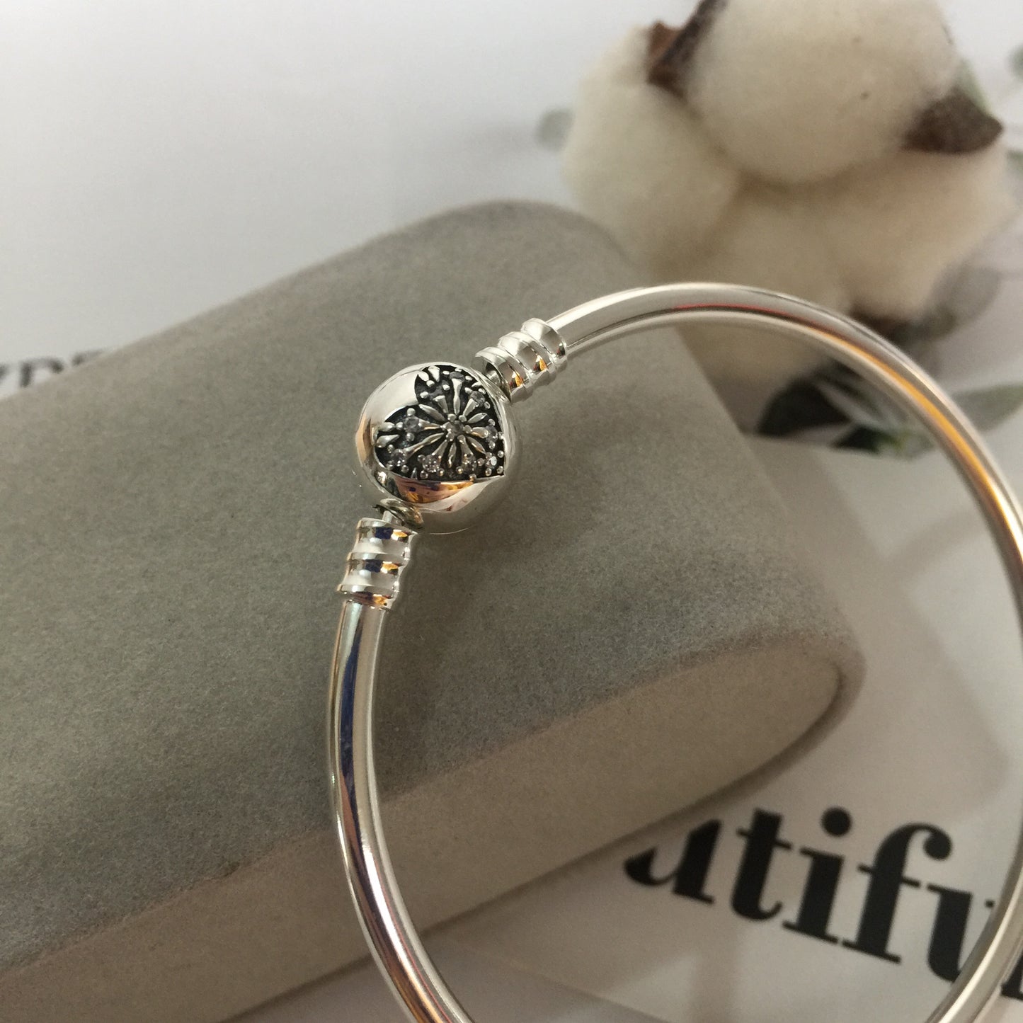 596404CZ