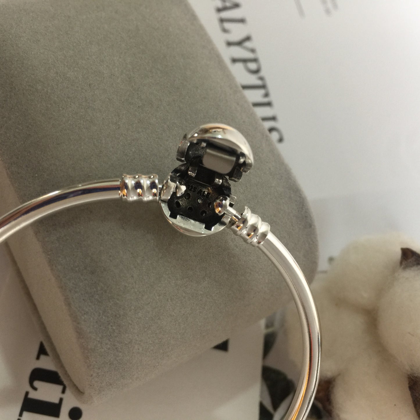 596404CZ