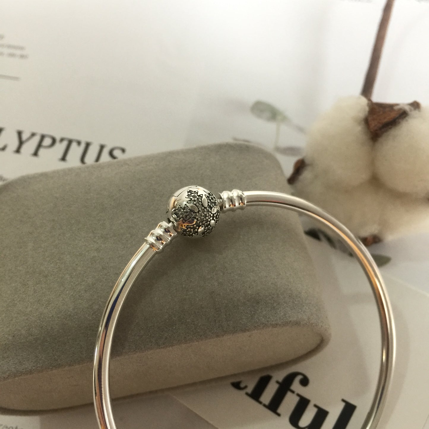 590740CZ