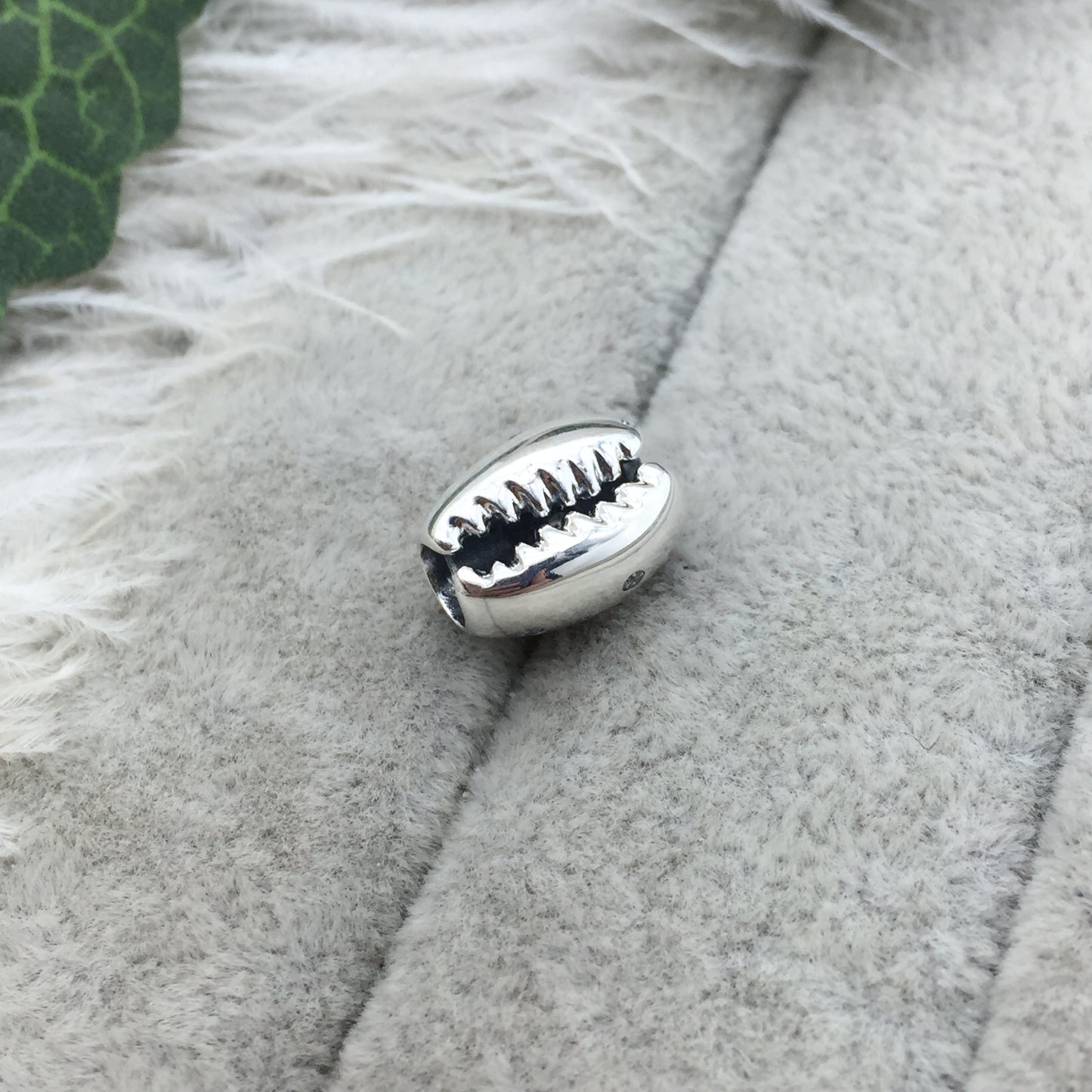 798131CZ