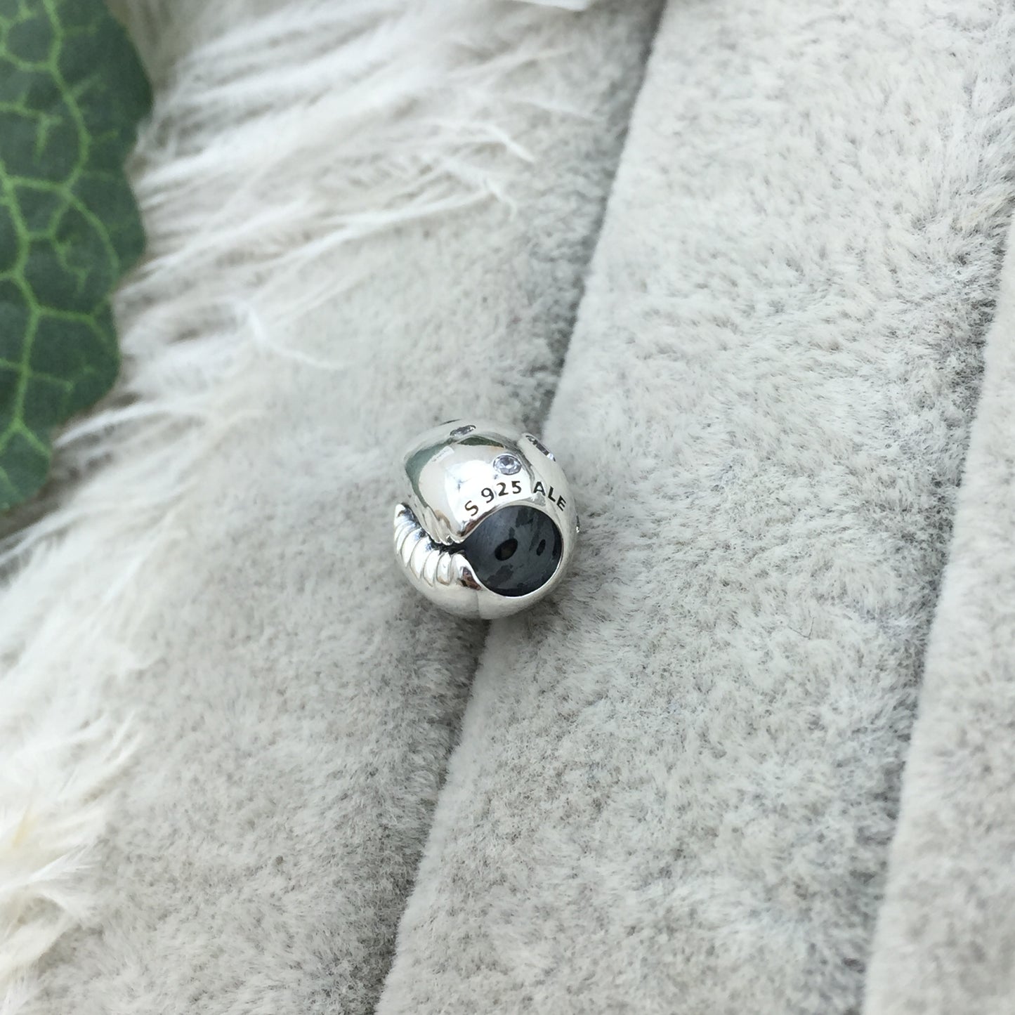 798131CZ