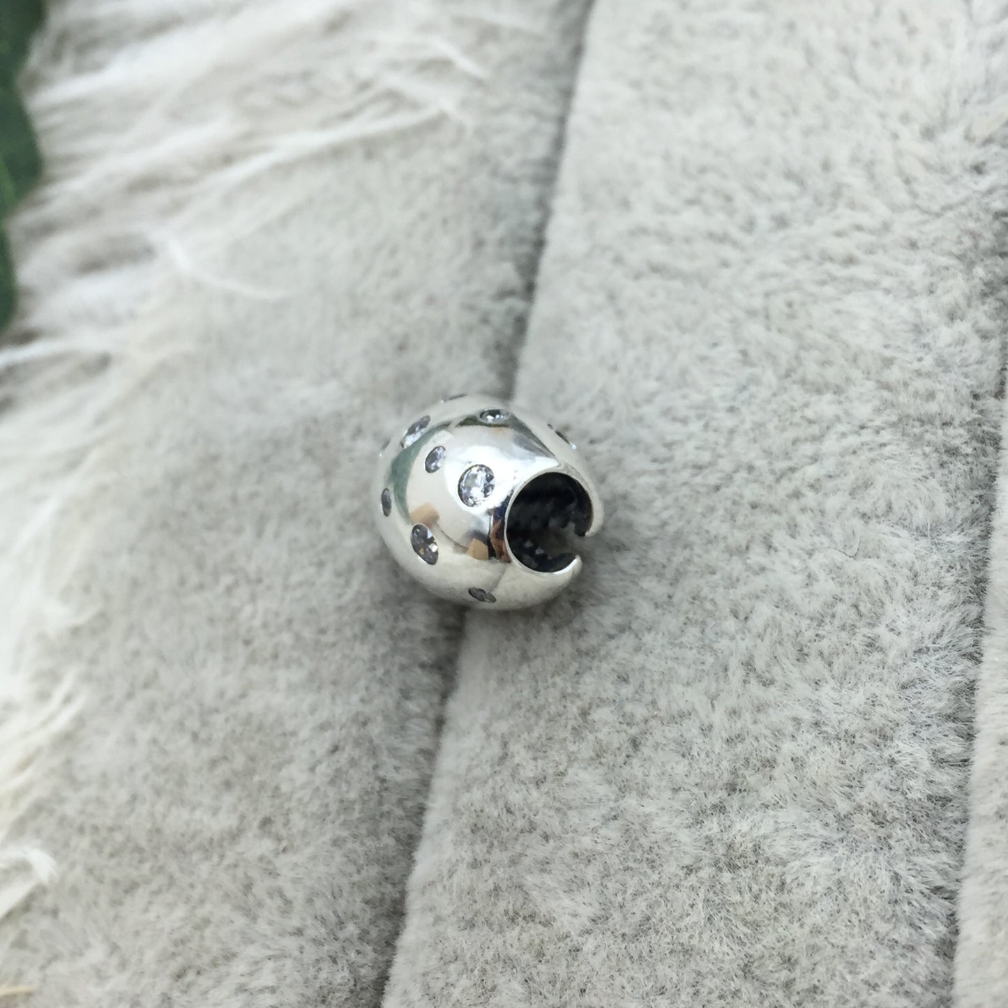 798131CZ
