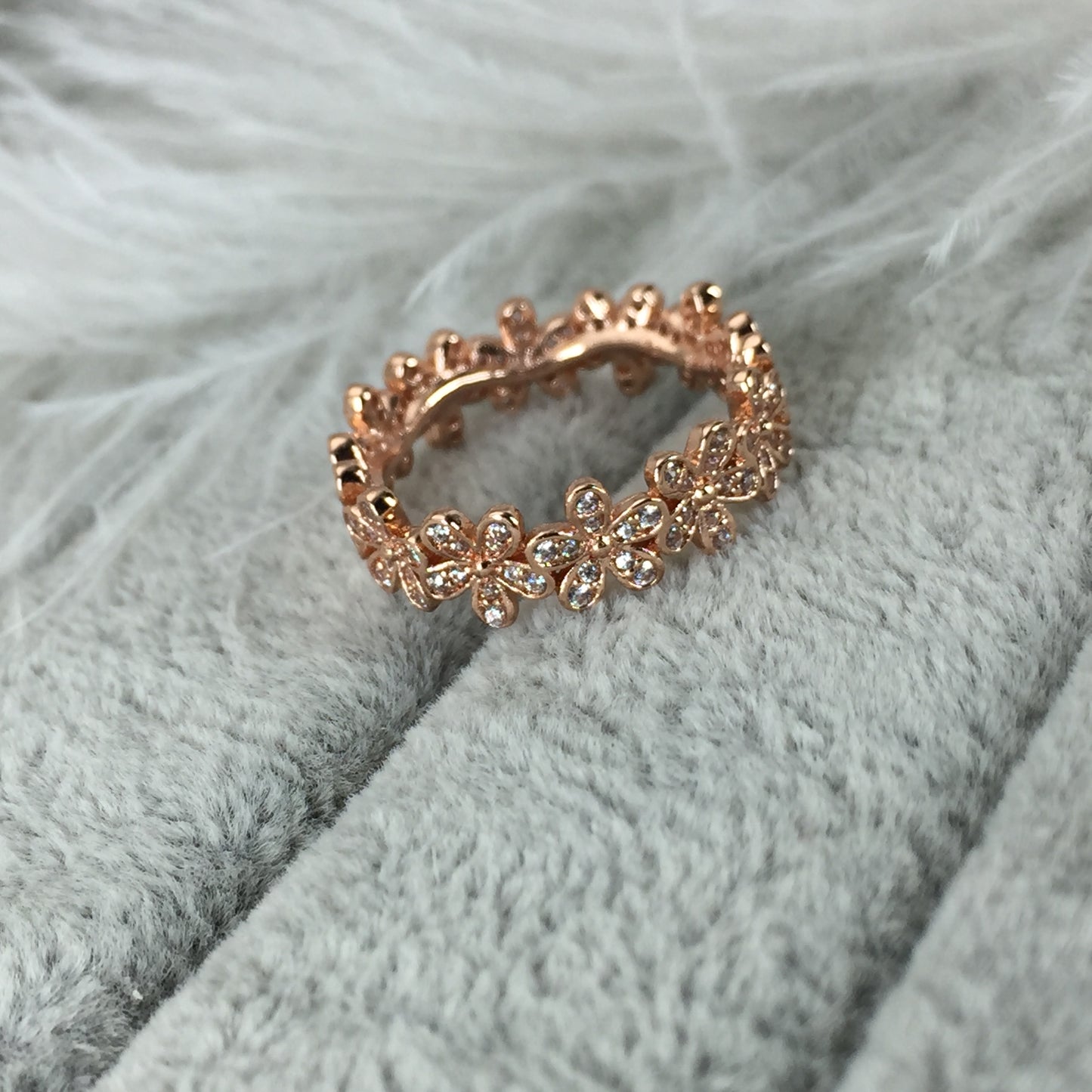 180934CZ