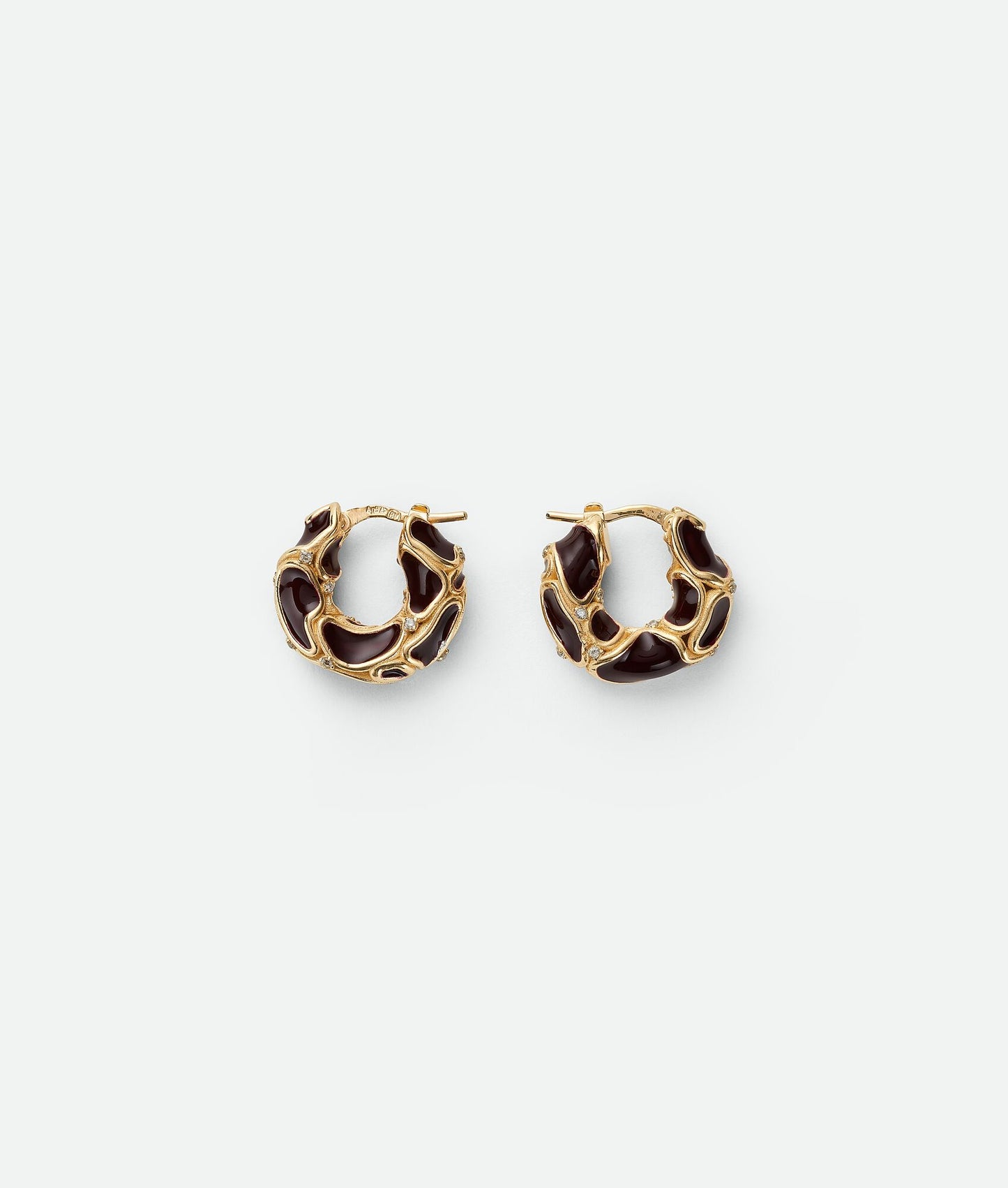 Bottega Veneta Earrings-Woman-053
