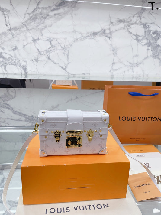 LV-BAG534