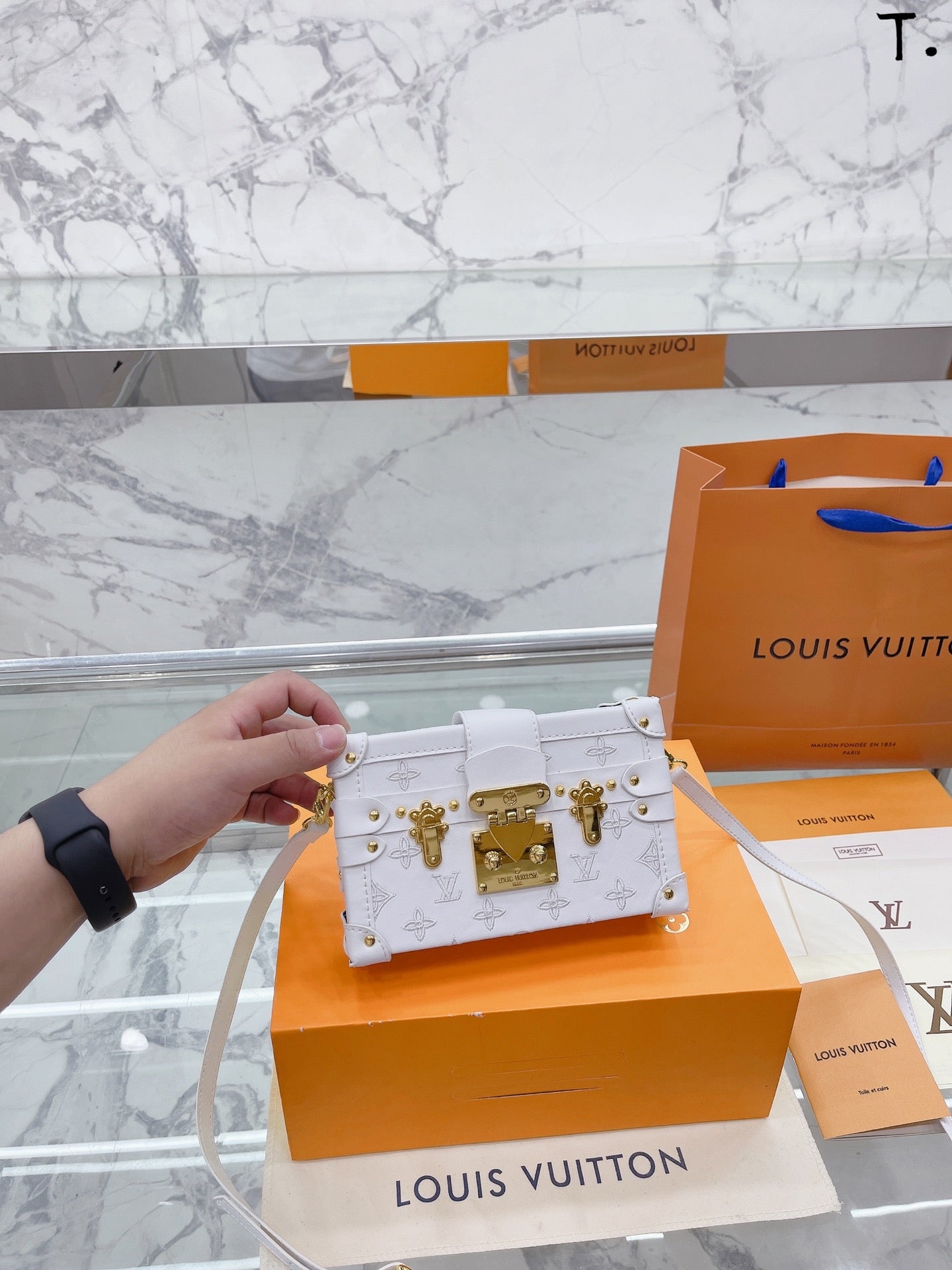 LV-BAG534