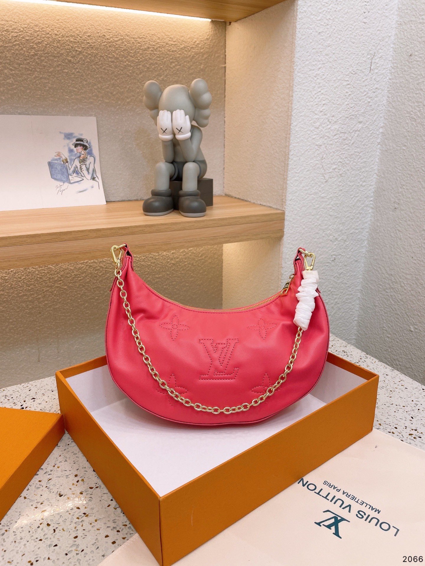LV-BAG508