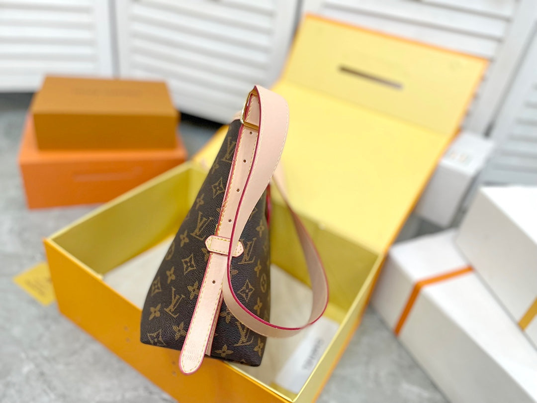 LV-BAG569