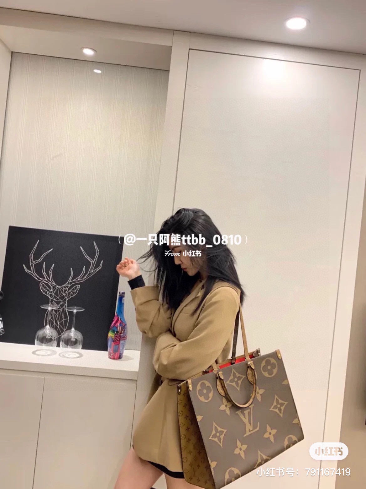 LV-BAG538