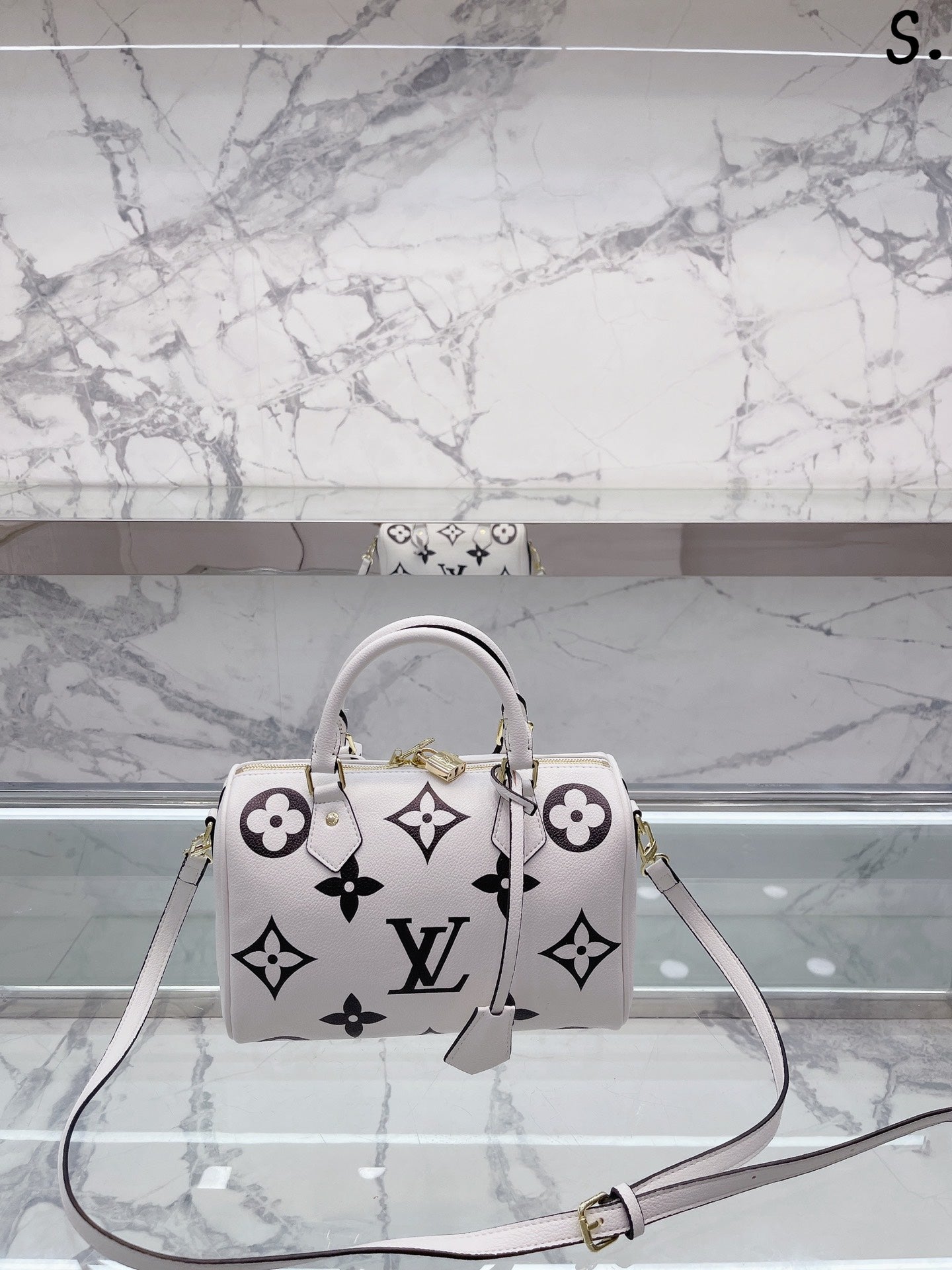 LV-BAG661