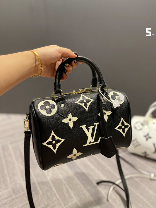 LV-BAG659