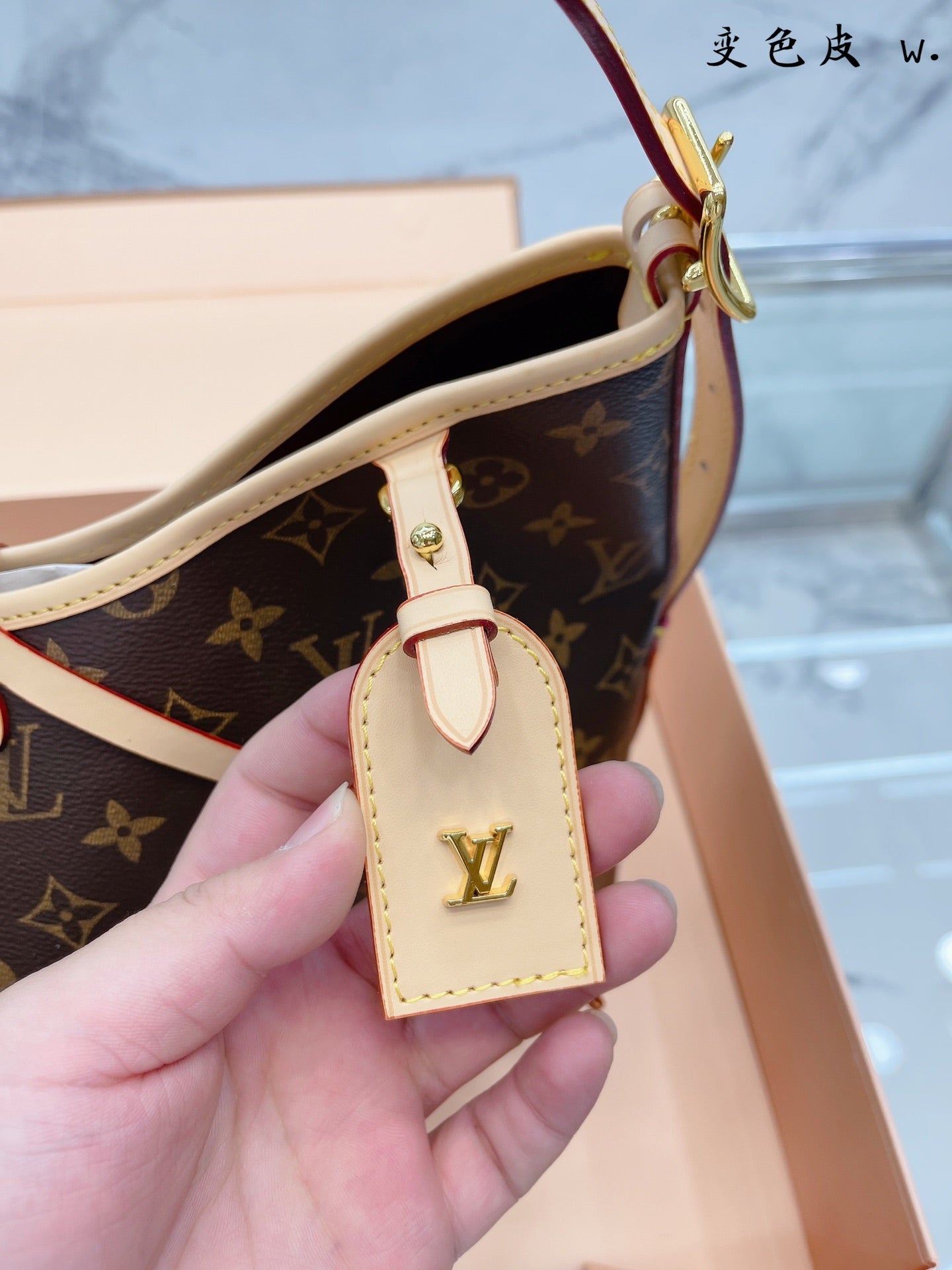 LV-BAG724