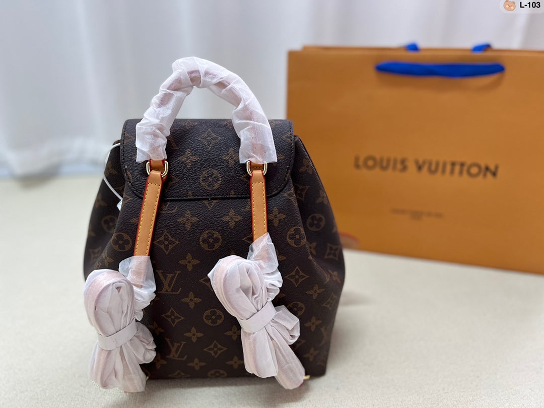 LV-BAG704