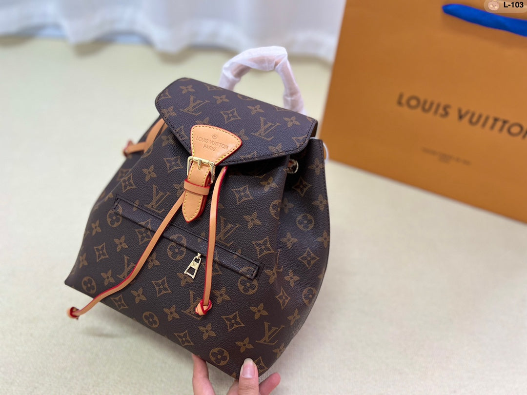 LV-BAG704