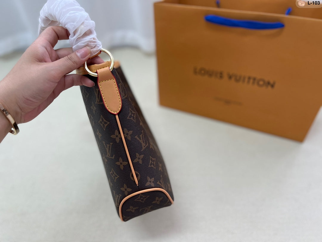 LV-BAG699