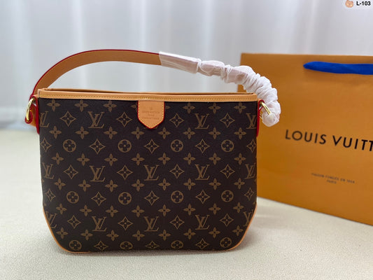 LV-BAG699