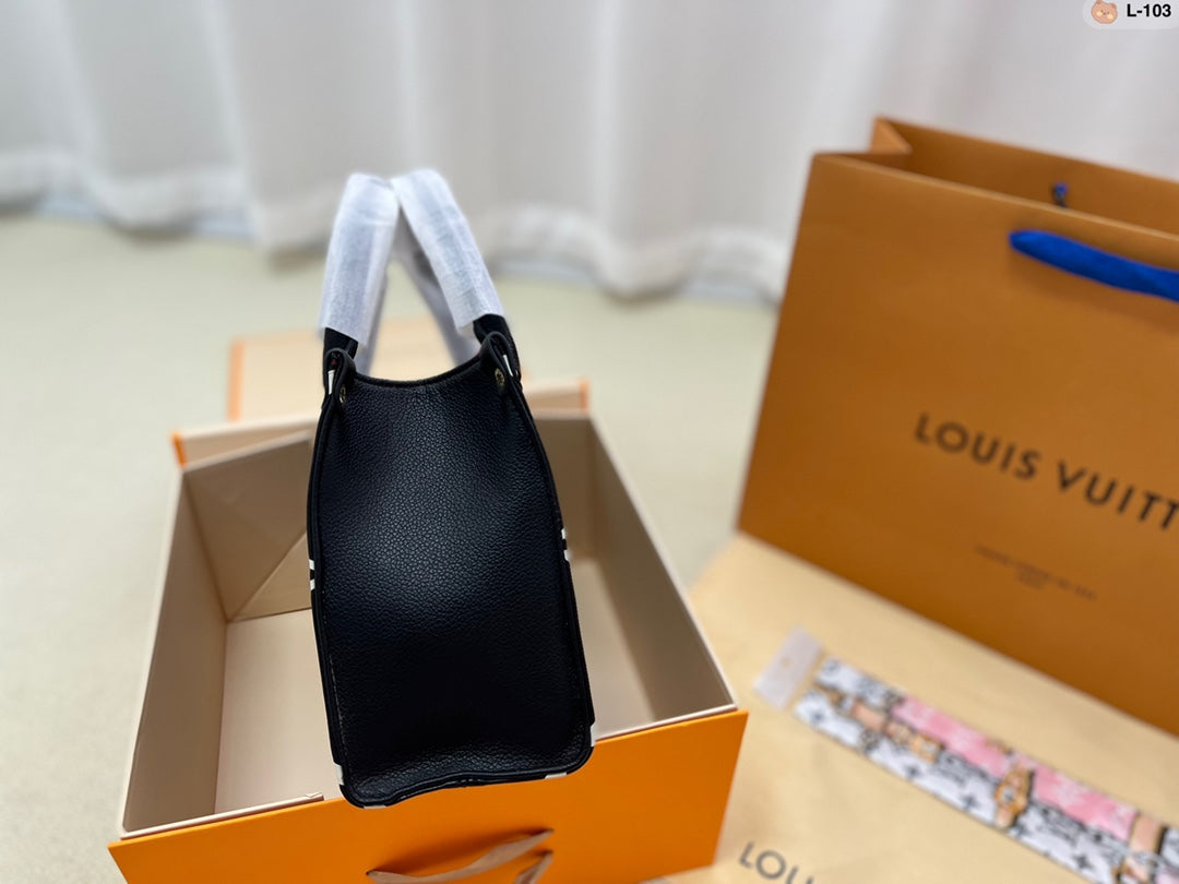 LV-BAG691