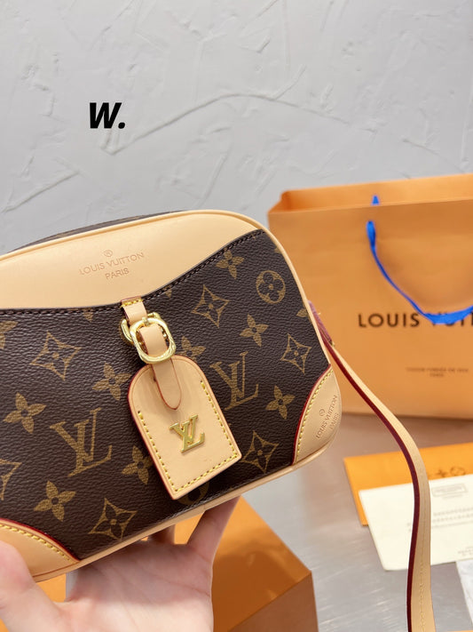 LV-BAG497