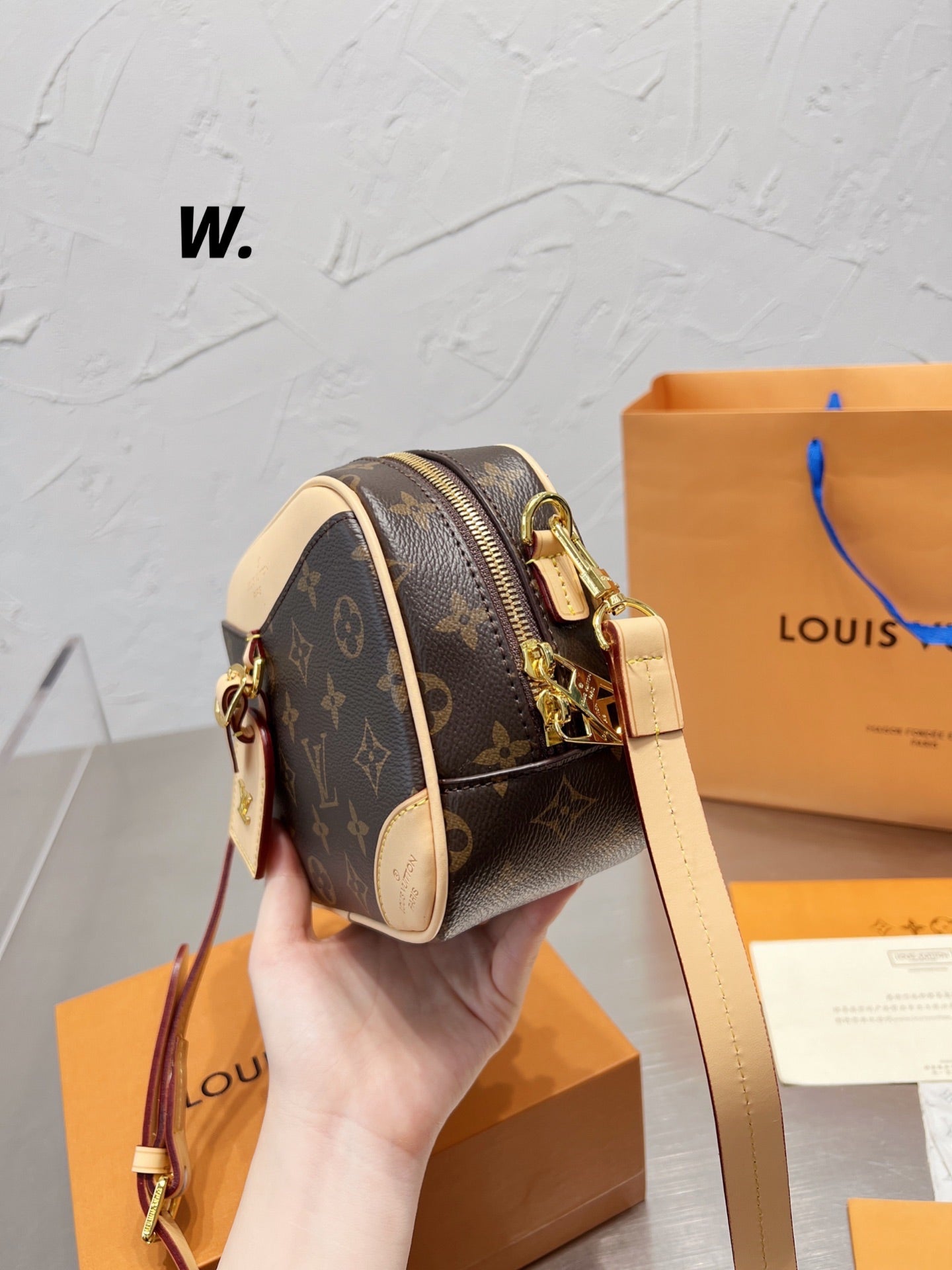 LV-BAG497