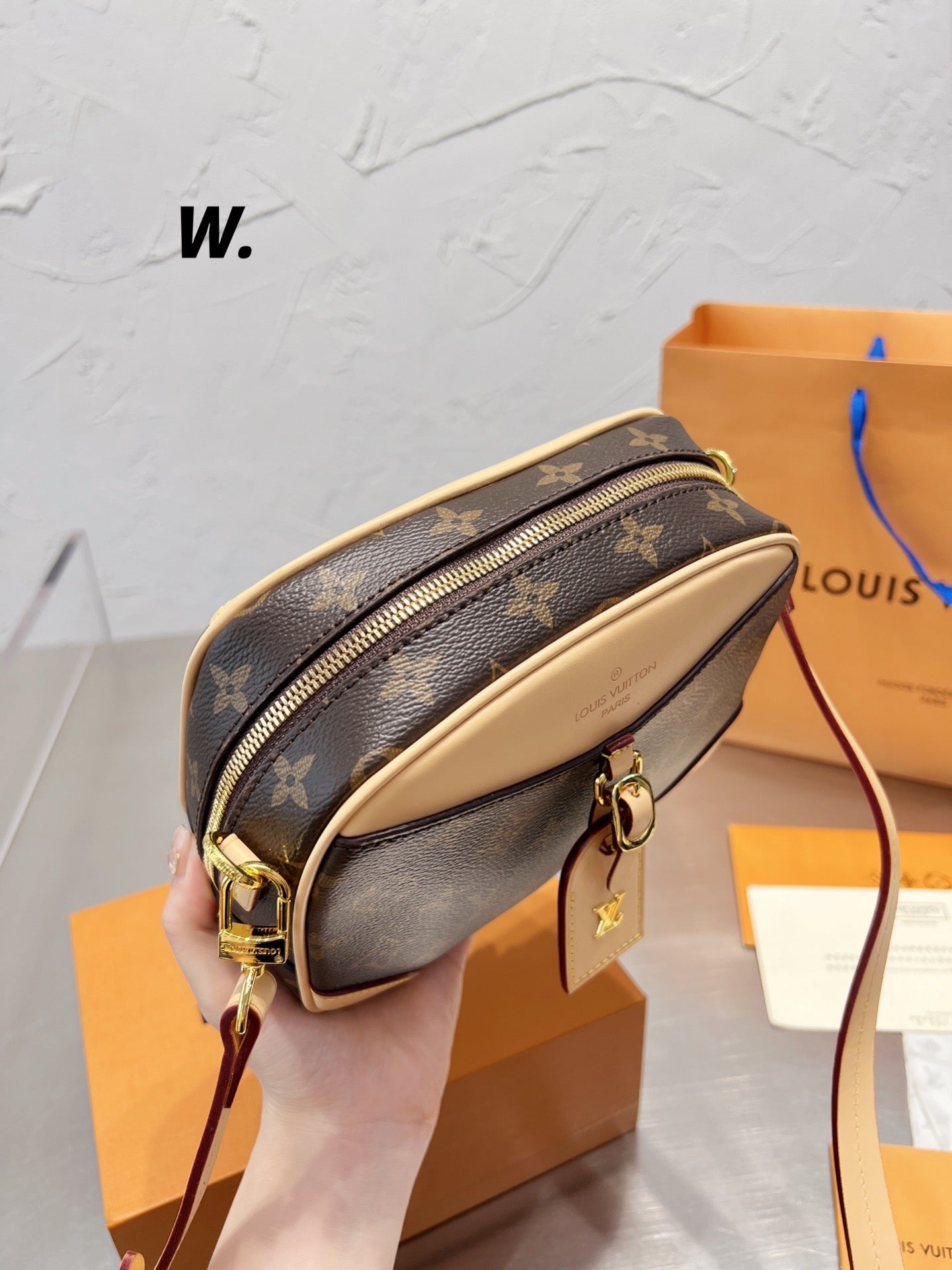 LV-BAG497