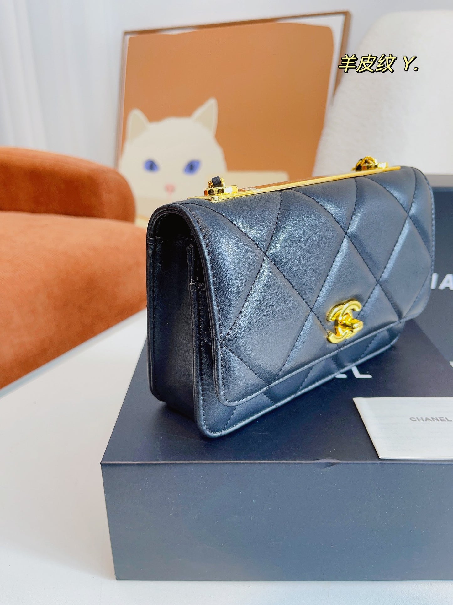 XNE-BAG310