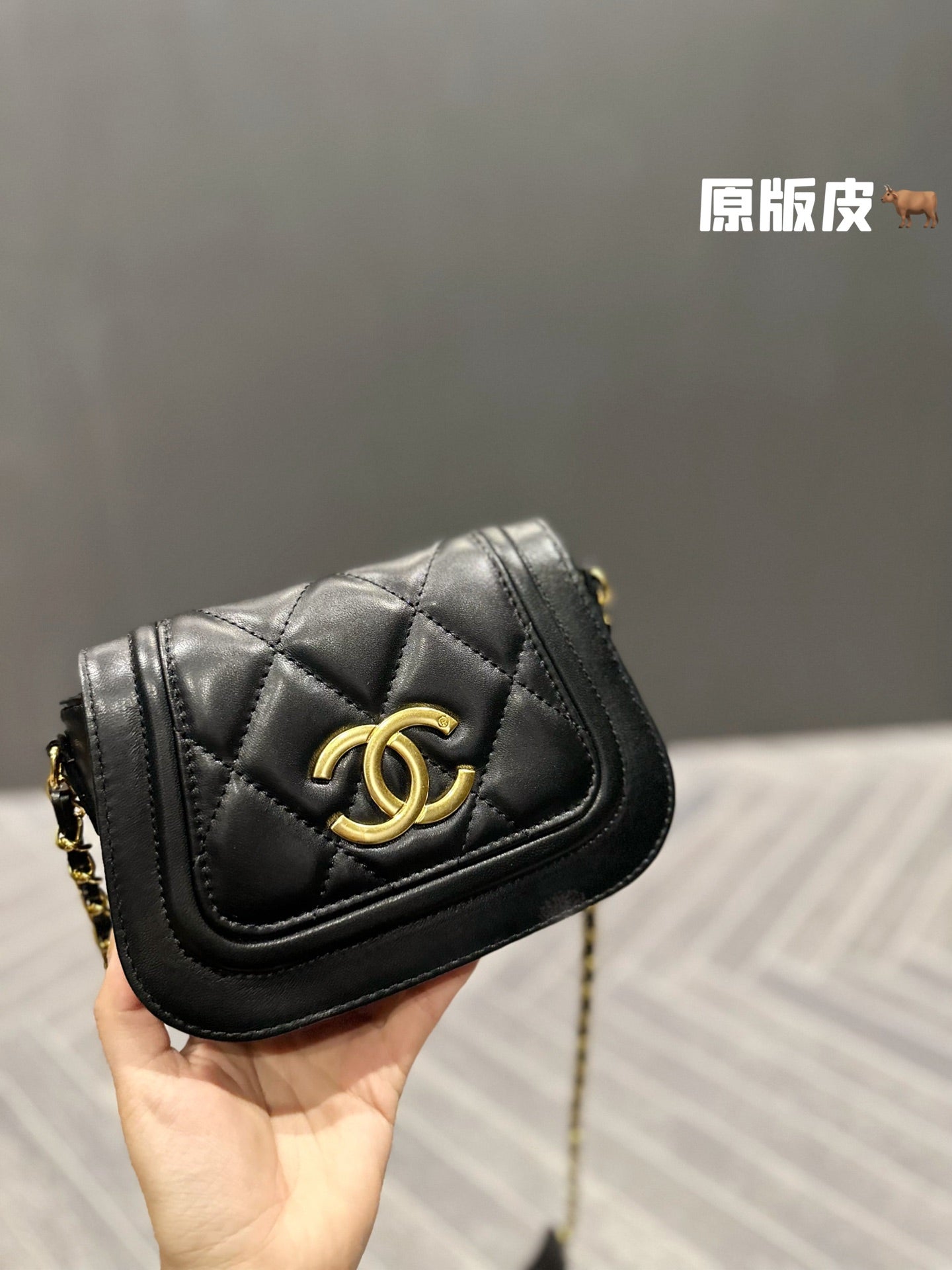 XNE-BAG248