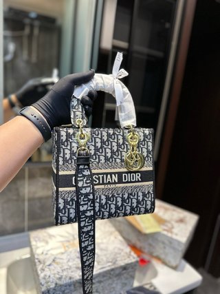 DIOR-731