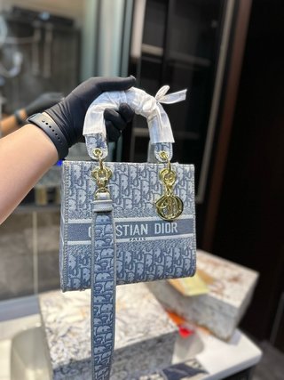 DIOR-731