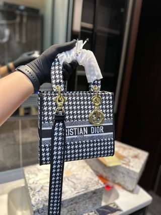 DIOR-729