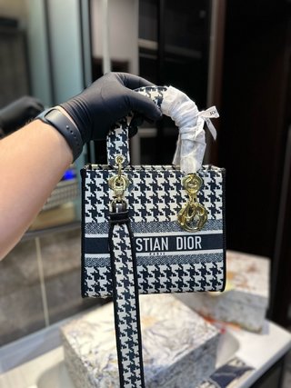DIOR-729