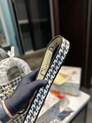 DIOR-729
