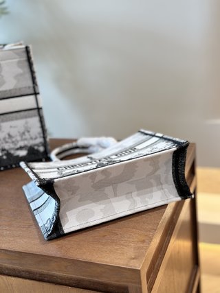 DIOR-695