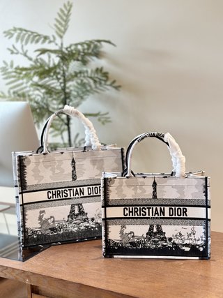 DIOR-695