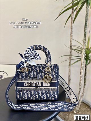 DIOR-739
