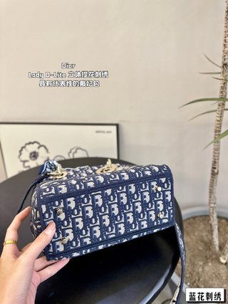 DIOR-739