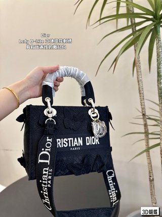 DIOR-738