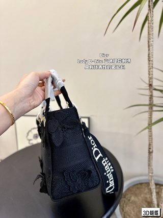 DIOR-738