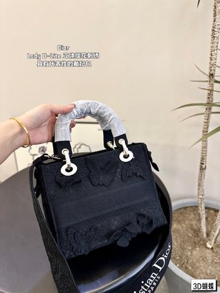 DIOR-738