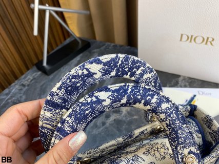 DIOR-737