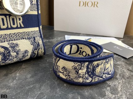 DIOR-737