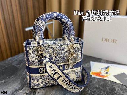 DIOR-737
