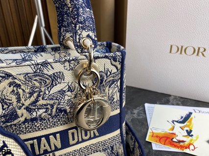 DIOR-737
